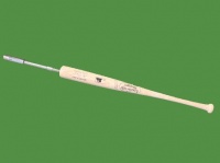 SwingRite Home Run Hitter